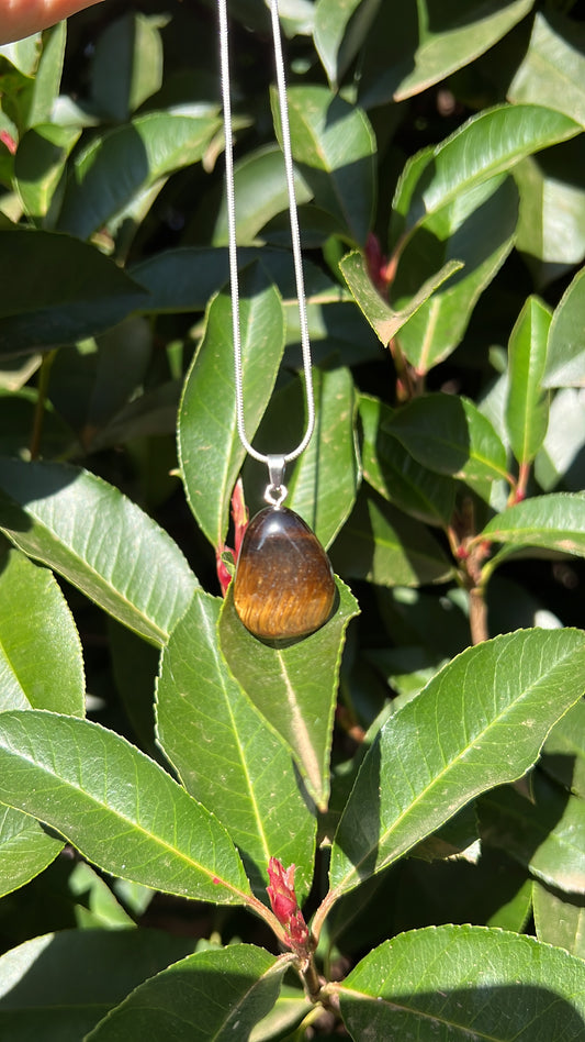 Tiger Eye Drop • 925 Sterling Silver